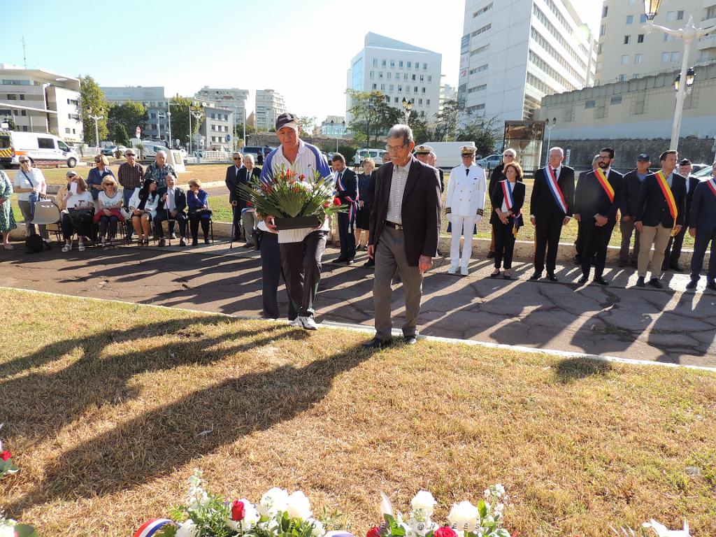 2023 09 25 TOULON  HOMMAGE AUX HARKIS FORCES SUPPLETIVES D ALGERIE (71).JPG -           
